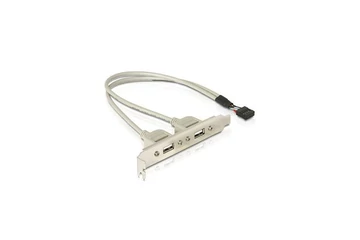 Delock Hátlapi Kivezetés - 71000 (1x belső USB 9tűs > 2x USB2.0 külső)